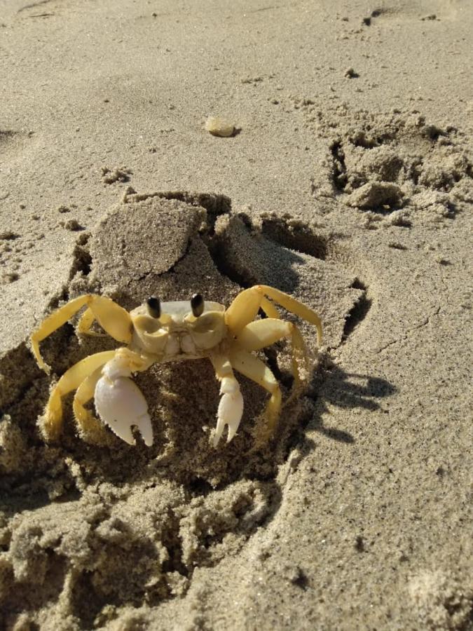 Varanda Suspensa Em Sao Sebastiao. *
